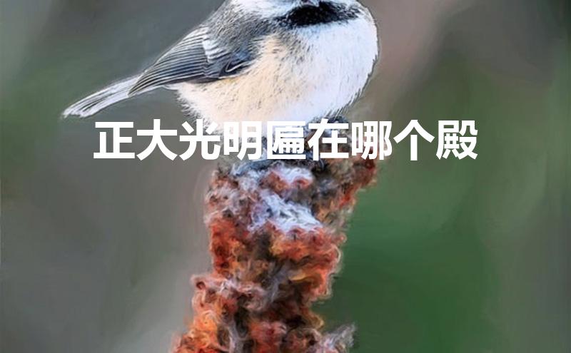 匾额放在哪_匾额放在院门楼还是入户门厅上_匾额放在室内