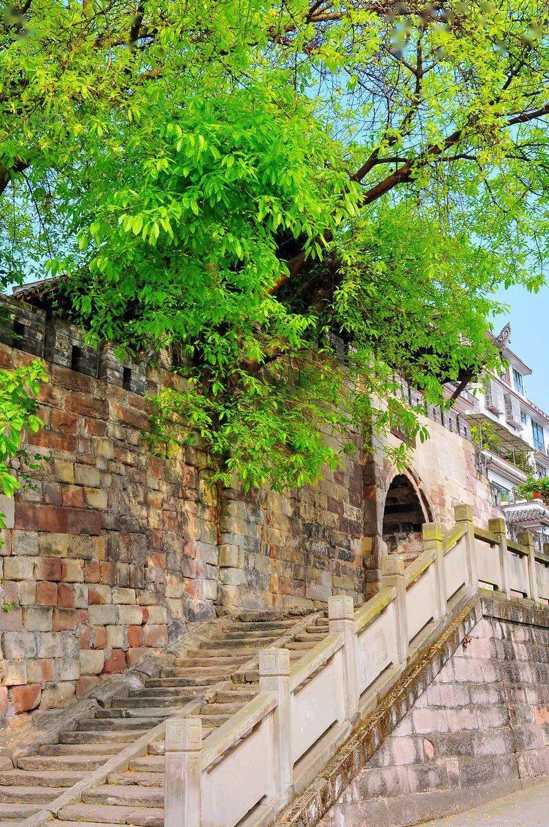 南山木匾_南山木栈道_南山寺牌匾