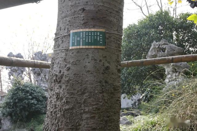 天下第一关匾额朝_太和殿匾额对联_文征明匾额
