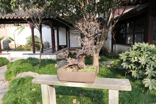 文征明匾额_太和殿匾额对联_天下第一关匾额朝