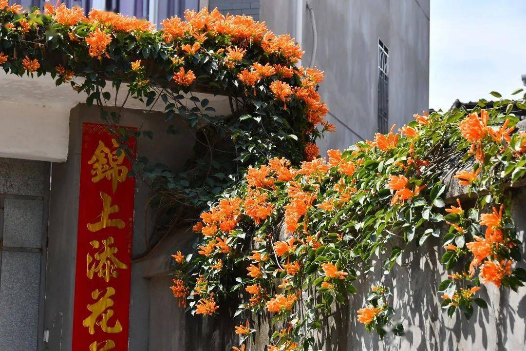 青石牌匾图片大全_青石牌匾_青石匾额