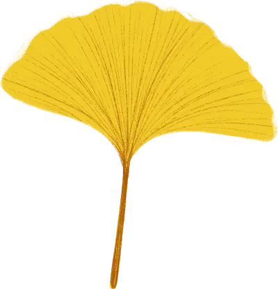 古代帝王牌匾_皇宫的匾额_皇帝匾额