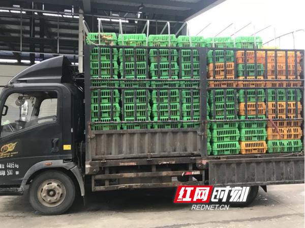 招牌木质_招牌用什么木材好_朴素木招牌