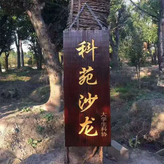 刻牌匾一般怎么雕刻_雕刻刻牌匾一般多大尺寸_牌匾雕刻