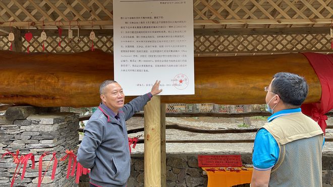 金丝楠木桌子_3亿元金丝楠木桌子_金丝楠木书桌