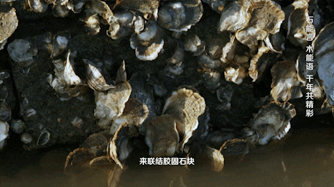 泉州木雕工艺品市场在哪里_福建泉州木雕工艺城_泉州木雕工艺品市场